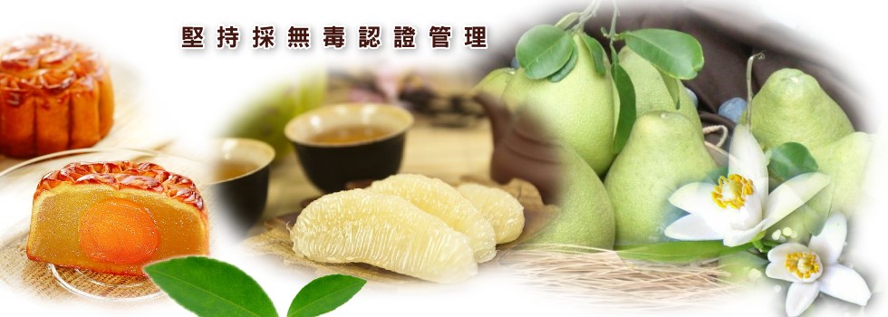 海源農場~苗栗西湖文旦柚